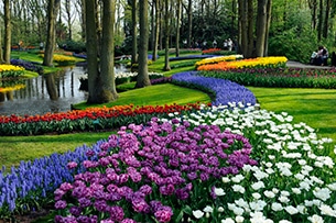 Il parco keukenhof in olanda