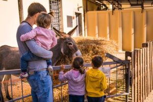 Agriturismo per famiglie vicino Firenze, Fattoria di Maiano, fattoria