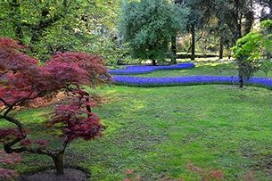 Il fiume di fiori