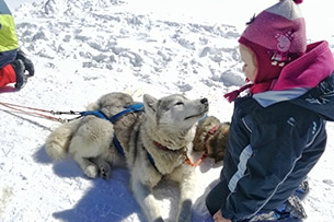 Sleddog in Piemonte, a Sestriere 