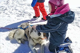 Sleddog in Piemonte, a Sestriere 