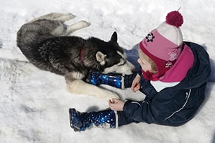 Sleddog in Piemonte, a Sestriere