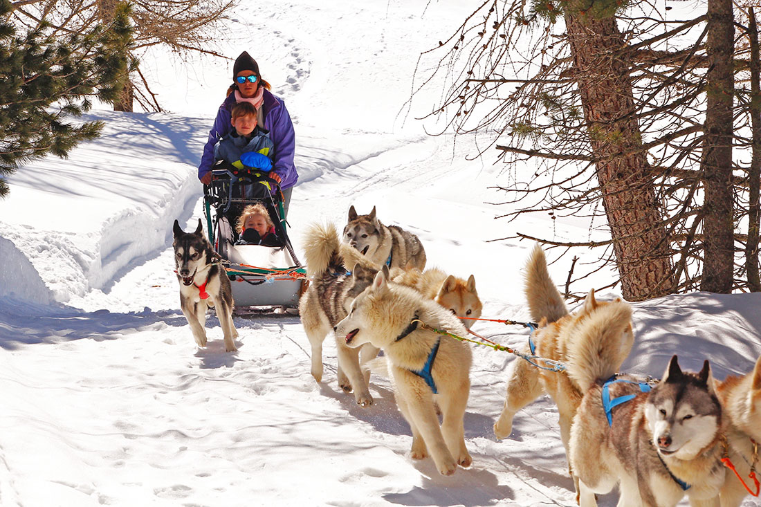 Piemonte neve bambini, Sleddog al Sestriere