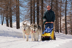 Sleddog in Piemonte, a Sestriere 