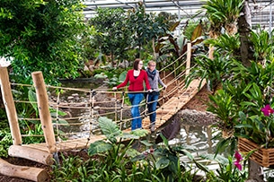 Parco delle orchidee Bolzano, Raffeiner Orchideenwelt, ponte di legno