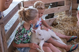 Fattorie per bambini in Olanda