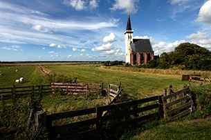 Isola di Texel cosa vedere con i bambini, le fattorie