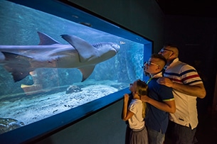 Jesolo con bambini, Tropicarium