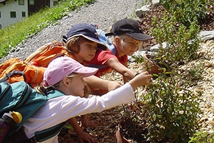 Sentieri tematici in Tirolo e Baby Trekking, WunderWanderWeg