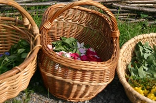 Sentieri tematici in Tirolo e Baby Trekking, WunderWanderWeg