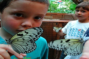 Casa delle Farfalle a Montegrotto Terme