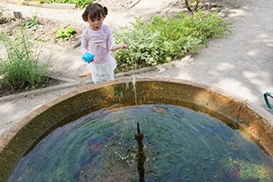 Orto botanico di Padova con bambini