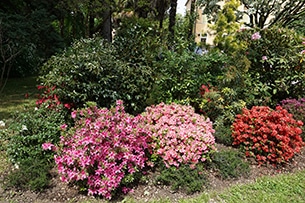 Orto botanico di Padova con bambini