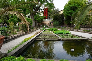 Orto botanico di Padova con bambini