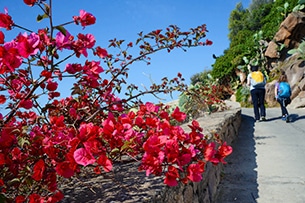 Isole Eolie: escursioni vulcani, Panarea