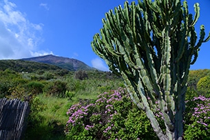 Isole Eolie: escursioni vulcani, Stromboli, Osservatorio