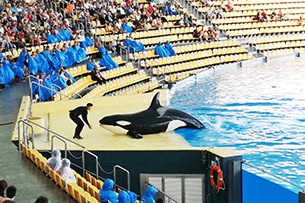 Tenerife con bambini, loro Parque