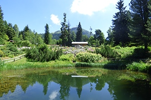 Giardino Botanico Muse, scorcio