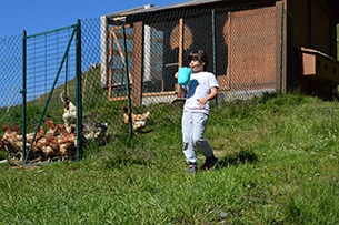 Tra gli animali in malga