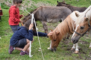 Vacanze in malga con bambini, Malga Valle dell'Alpe