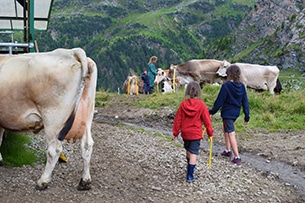 Vacanze in malga con bambini, Malga Valle dell'Alpe