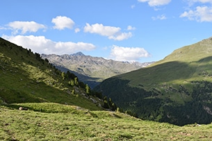 Vacanze in malga con bambini, Malga Valle dell'Alpe