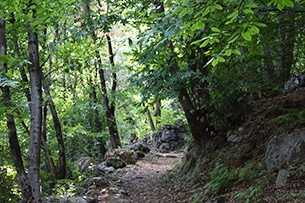 Vacanze in malga con bambini, Bassa Valtellina, Agriturismo la Pedruscia