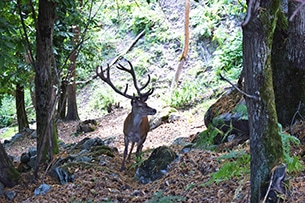 Bassa Valtellina, Agriturismo la Pedruscia