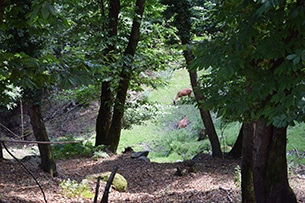 Agriturismo la Pedruscia