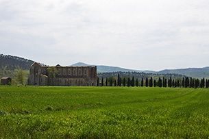 San Galgano con bambini, l'Abbazia