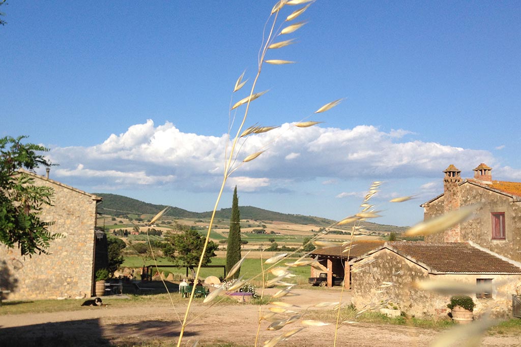 Agriturismo per bambini in Maremma La Valentina Nuova, panorama