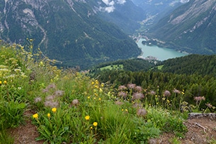 Val Fiorentina con bambini, Fertazza - Belvedere