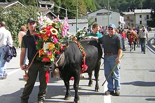 Transumanza feste: Valle d'Aosta