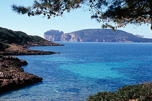 Alghero per bambini, Capocaccia