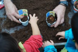 garden festival autunno