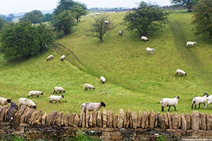 Cotswolds con bambini, Gloucestershire