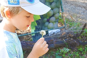 Vendemmia con i bambini vicino Roma a Donnardea