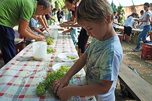 Vendemmia con i bambini vicino Roma a Donnardea, la pigiatura