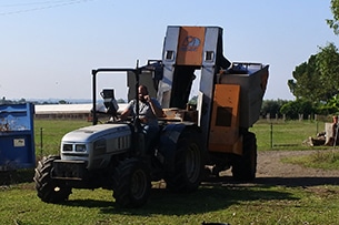 Vendemmia con i bambini vicino Roma a Donnardea, il trattore della vendemmia