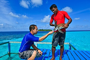 Resort Maldive per bambini, Banyan Tree Vabbinfaru