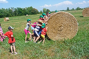 Gelindo dei Magredi, fattoria didattica in Friuli, il fieno