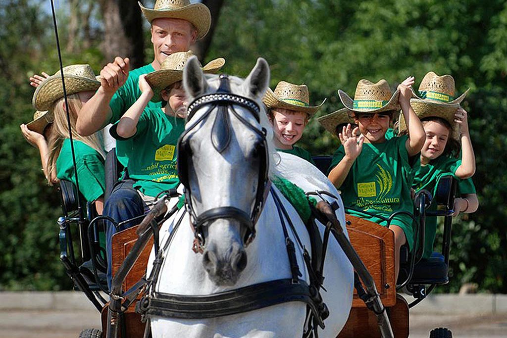 Agriturismo e Country Resort Gelindo dei Magredi in Friuli Venezia Giulia, giro in carrozza