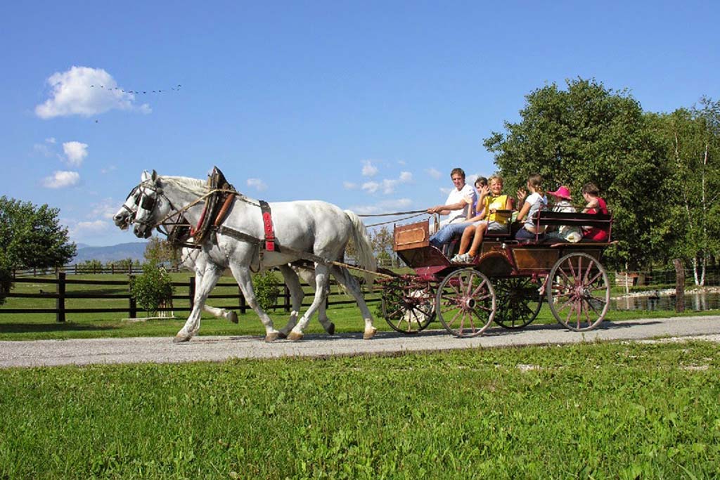 Fattoria e agriturismo per bambini Gelindo dei Magredi, Friuli