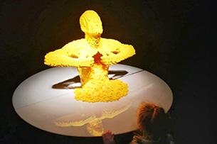 Mostra Lego a Torino, The Art of the Brick, il giallo