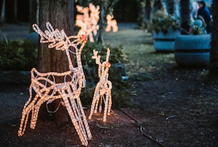 Mercatini di Natale a Rovereto e Vallagarina: Natale nei Palazzi Barocchi