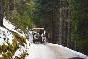 Il sentiero dell’Avvento nel Katschberg, la carrozza