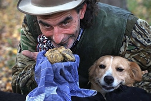 Cani da tartufo, la sfilata in Piemonte