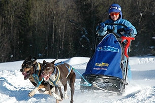 Tarvisio con bambini sulla neve, sleddog