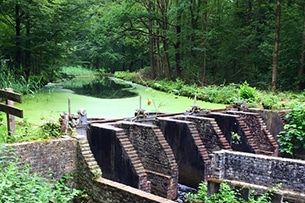 Escursioni da Amsterdam, Waterloopbos