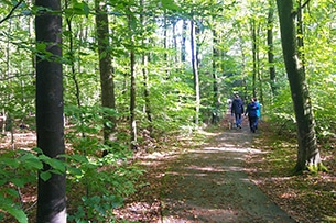 Escursioni da Amsterdam, Waterloopbos